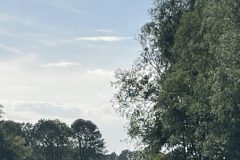 FullSizeRender4-scaled