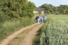 IMG_1786